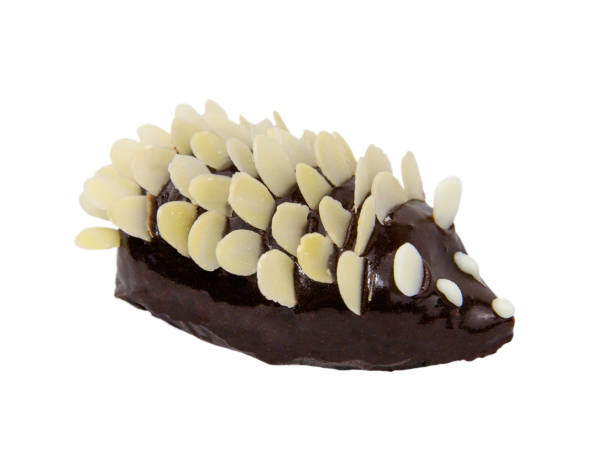 istock Brown chocolate hedgehog isolated on white background 661487918
