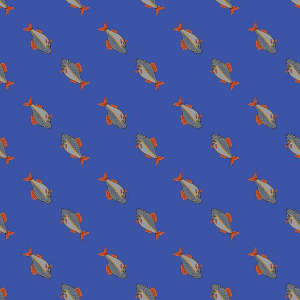 ilustrações, clipart, desenhos animados e ícones de sem costura padrão de peixe - animal scale fish silver backgrounds