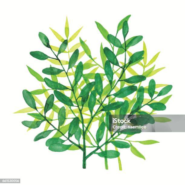 Watercolor Branchs Green Stock Illustration - Download Image Now - Watercolor Painting, Leaf, Tree