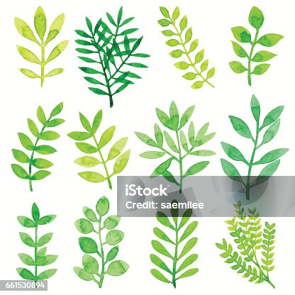 istock Watercolor Leaves Green 661530894