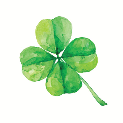 watercolor four leaf clover