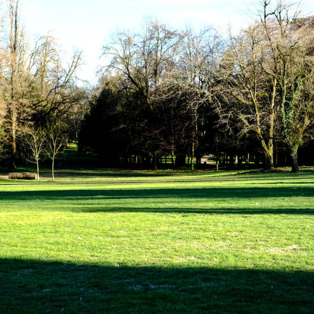 a wide shot taken at Monza Park during the afternoon at the moment when winter is leaving and spring is coming