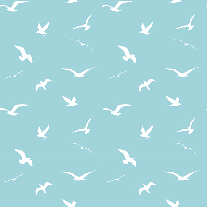 seamless vector pattern with silhouettes of the gulls on a blue background