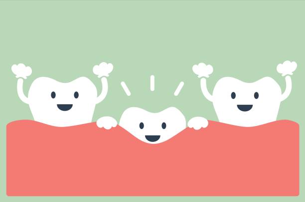 first teeth dental cartoon vector, first teeth (tooth grow) baby teeth stock illustrations