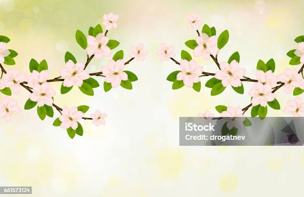 Bloom Spring Vector Blooming Branch Vector With Pink Spring Blossom Stock Illustration ...