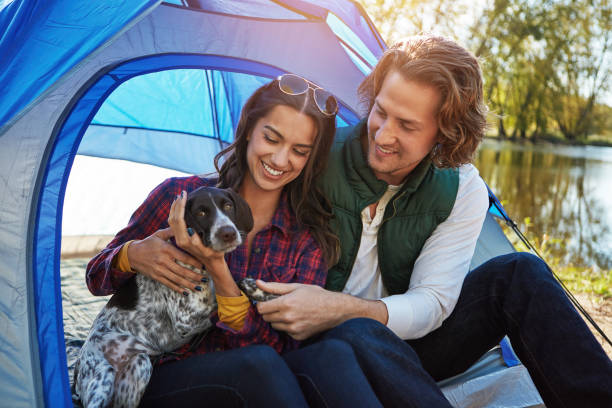 istock Taking the weekend to bond with our four-legged friend 661609702