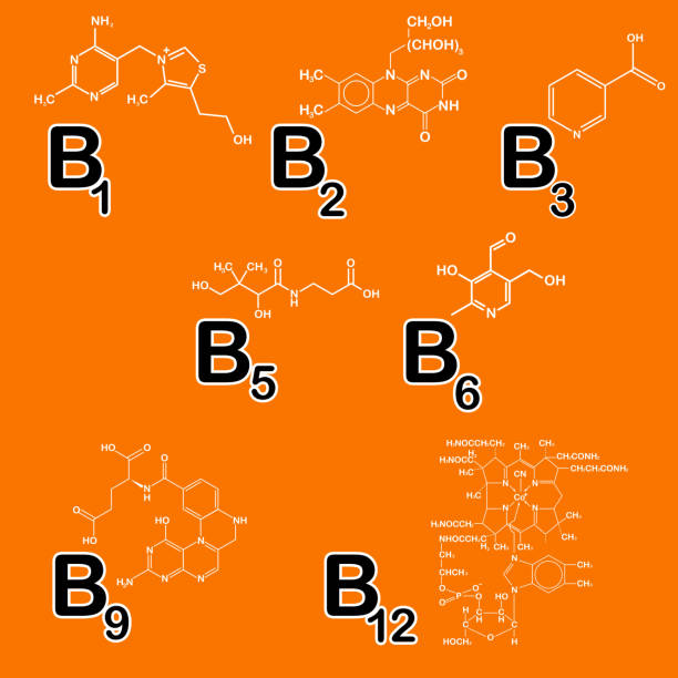 ilustraciones, imágenes clip art, dibujos animados e iconos de stock de vitaminas del grupo b conjunto. concepto de vida sana. vitamina b1, b2, b3, b5, b6, b9, b12. ilustración de vector. medicinas de fórmula química estructural de la colección de brezo, anuncios de belleza - formula 1