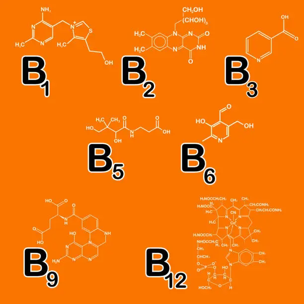 Vector illustration of Vitamins group B set. Healthy life concept. Vitamin B1, B2, B3, B5, B6, B9, B12. Vector illustration. Structural chemical formula collection meds for heath, beauty ads