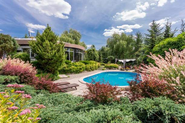 istock Swimming pool surrounded by a big garden 661628664