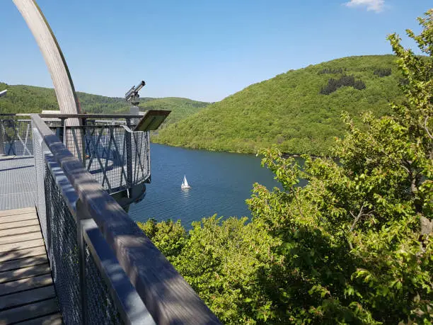 National Park, Kellerwald-Edersee, Boardwalk; scaffolding; beech