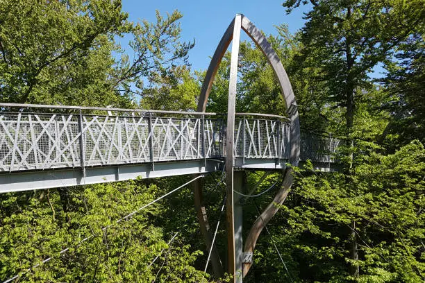 National Park, Kellerwald-Edersee, Boardwalk; scaffolding; beech