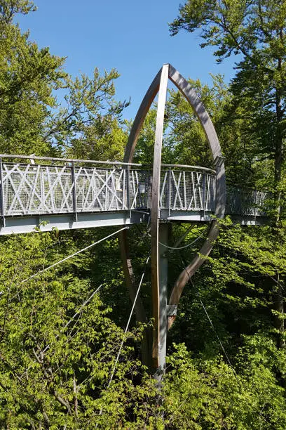 National Park, Kellerwald-Edersee, Boardwalk; scaffolding; beech