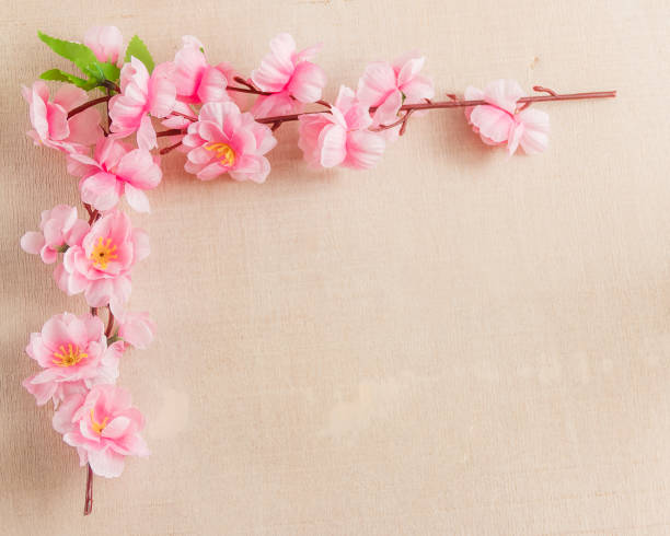 Frame of spring flowers on a wooden ,with space for text ,spring or summer theme stock photo