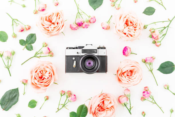 istock Round frame with pink roses and Old camera on white background. Flat lay, top view. Floral background. 661661026