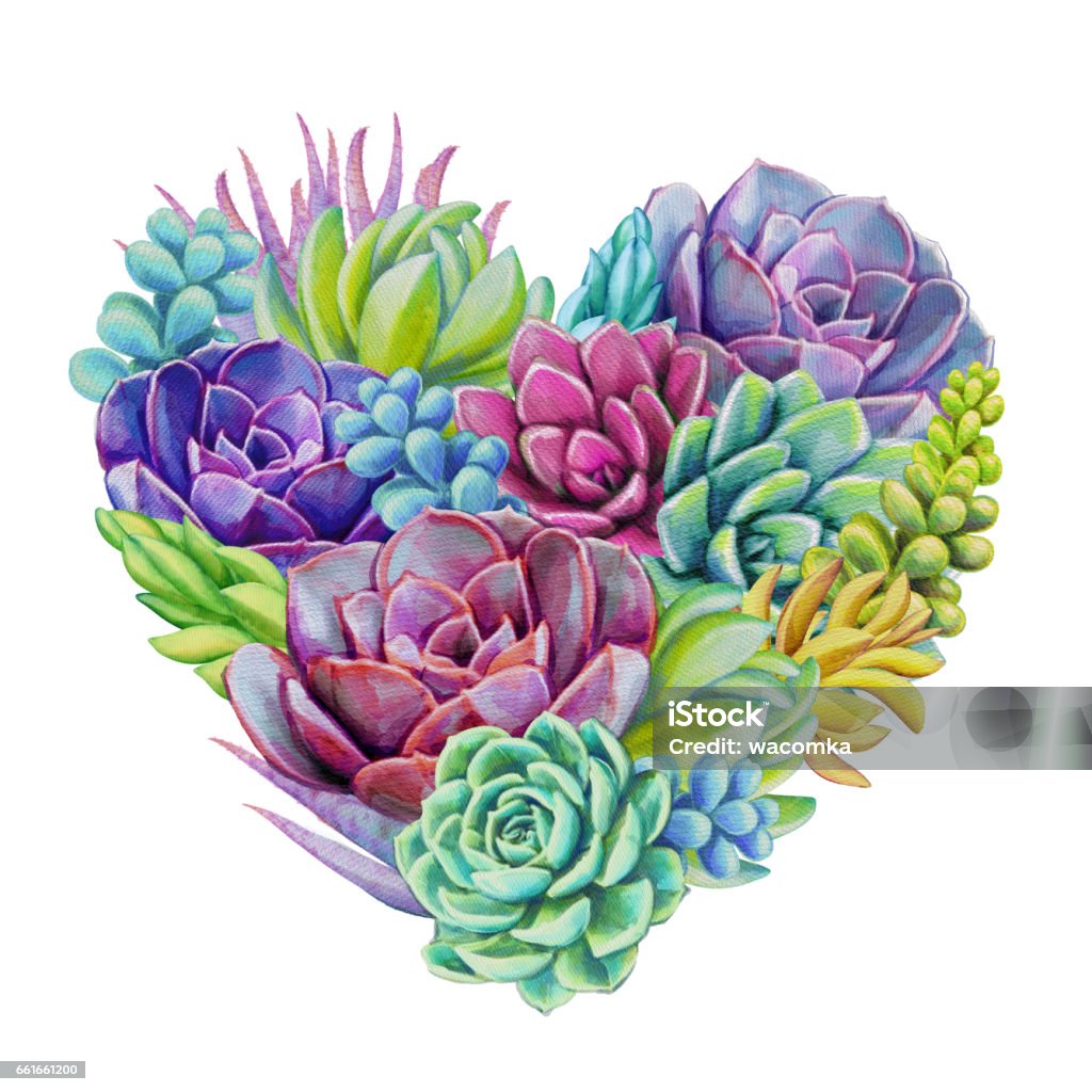Acuarela suculenta plantas composición, Ilustración de bouquet floral, aislado sobre fondo blanco - Ilustración de stock de Pintura de acuarela libre de derechos