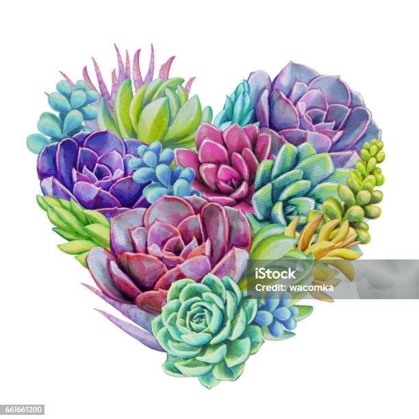 Watercolor Succulent Plants Composition Floral Bouquet Illustration Isolated On White Background Stock Illustration - Download Image Now