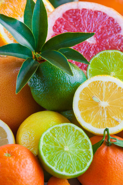 istock Citrus fruits (grapefruit, oranges, lime, lemon) 661692470
