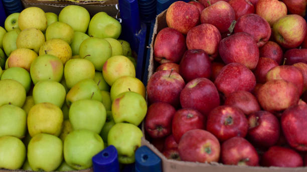 istock Organic Red and Green Apples in Baskets 661705172