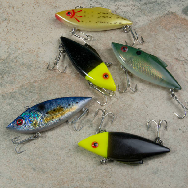 istock Five salt water fishing lures 661731730
