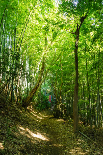 istock Kamakura hiking in autumn 661750652