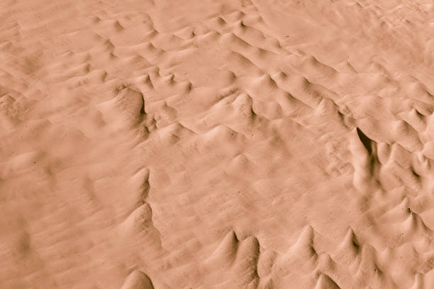 istock Camel color. Desert. Modern and contemporary wallpaper for interior design. Background and Texture 661777652