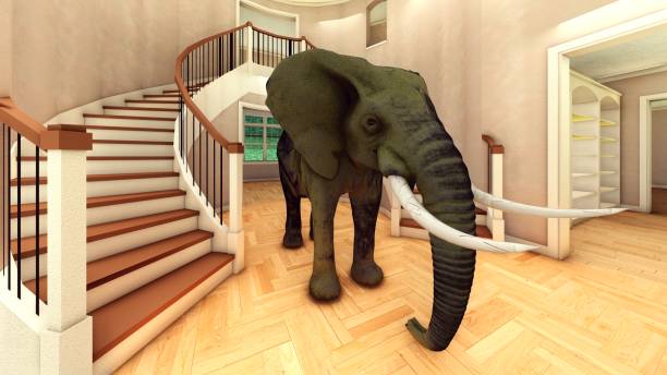 istock Elephant in the living room 3d rendering 661822196