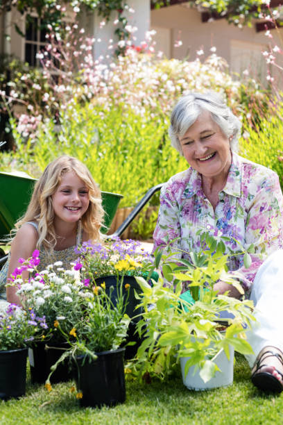istock Grandmother and granddaughter gardening together 661849708