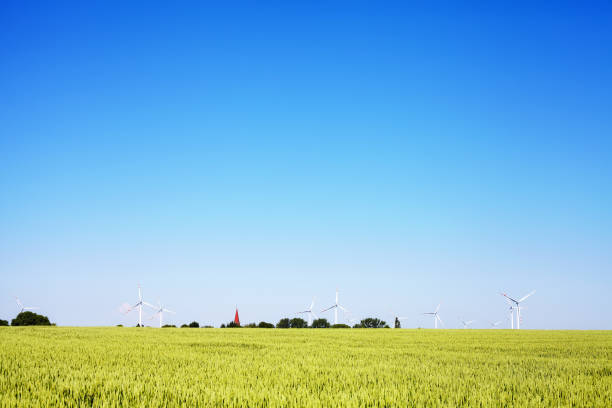 istock Green cereal field with windmills on the horizon with blue cloudless sky. 661853688