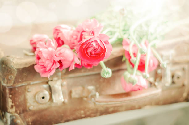 istock Pink flowers on old retro suitcase 661861140