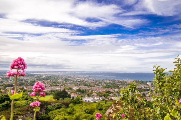 view on coastline by killiney near dublin in ireland - dublin bay flash imagens e fotografias de stock