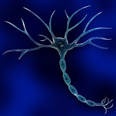 neuronenzelle.jpg?b=1&s=170x170&k=20&c=lZKDqWT9rT9qY66Dmpm4shQW6N6y0yiUhqYpbfz_kNI=