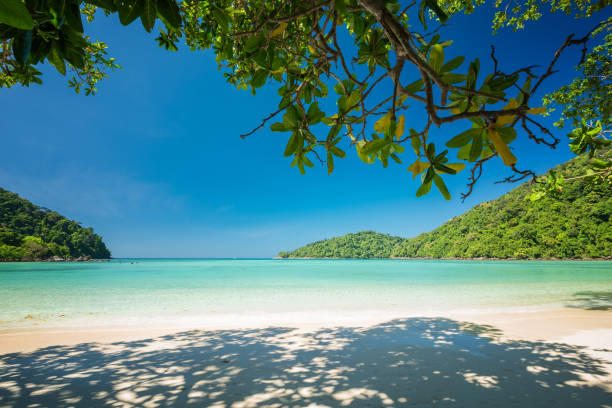 istock Breathtaking tropical beach located Surin Island, Thailand 661879650