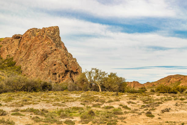 istock Viewpoints of Darwin Landscape, Argentina 661881710