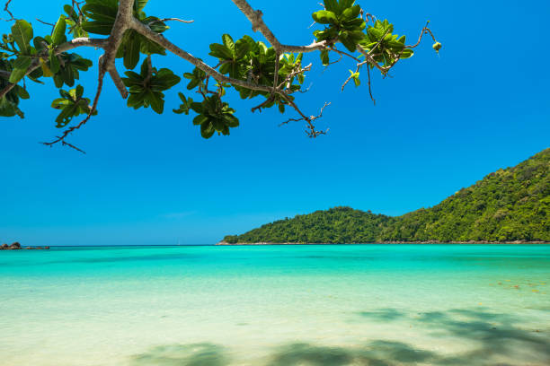 istock Breathtaking tropical beach located Surin Island, Thailand 661884290