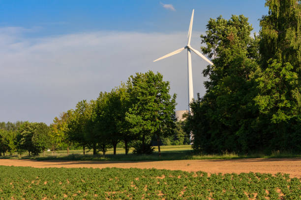 clean nature with wind power stock photo