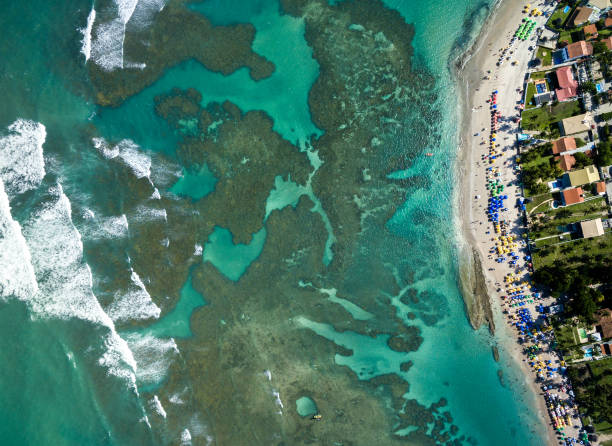 istock Top View of Porto de Galinhas, Pernambuco, Brazil 661980480