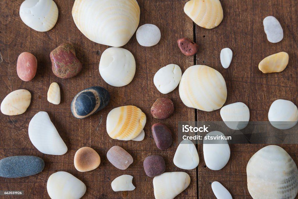 sea shells and sea stones sea shells and sea pebbles on a wooden background Backgrounds Stock Photo