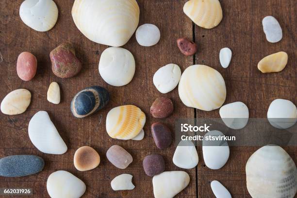 Sea Shells And Sea Stones Stock Photo - Download Image Now - Backgrounds, Beach, England