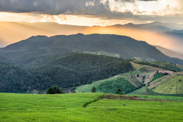 istock rice terrace and hut on the mountain hill with storm cloud and raining and light rays tyndall effect 662052310