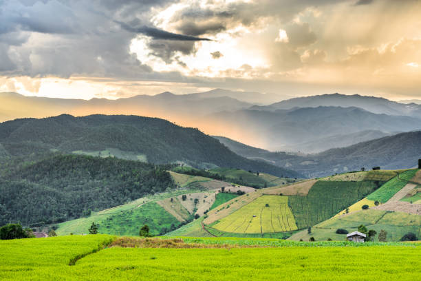 istock rice terrace and hut on the mountain hill with storm cloud and raining and light rays tyndall effect 662059462