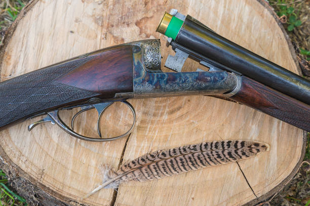 istock hunting rifle on a tree stump outdoors 662060192