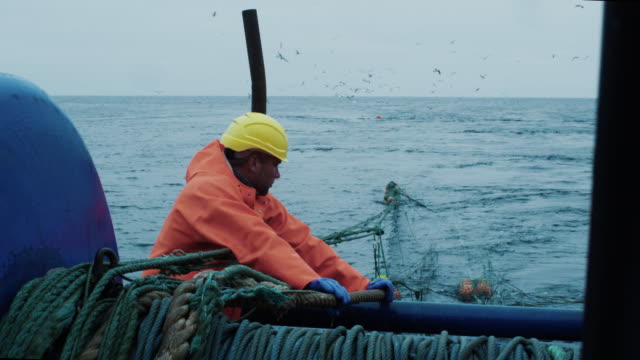 Crew of Fishermen Work on Commercial Fishing Ship that Pulls Trawl Net
