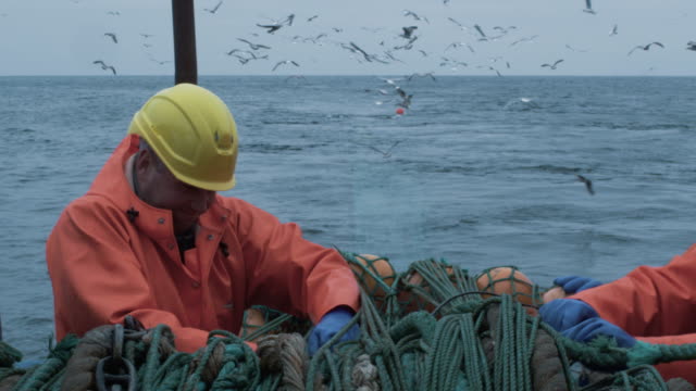 Crew of Fishermen Work on Commercial Fishing Ship that Pulls Trawl Net