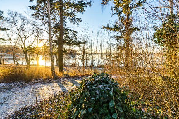 istock sunset in a frost covered park 662114484