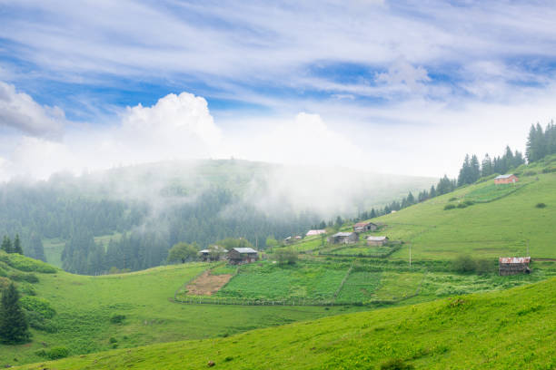 Foggy Plateau Highland with Giresun - Turkey stock photo