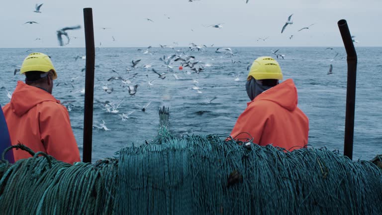 Crew of Fishermen Work on Commercial Fishing Ship that Pulls Trawl Net