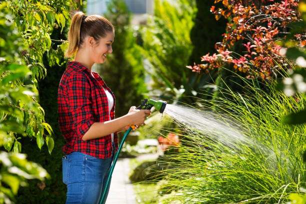 istock Girl watering plants 662133248