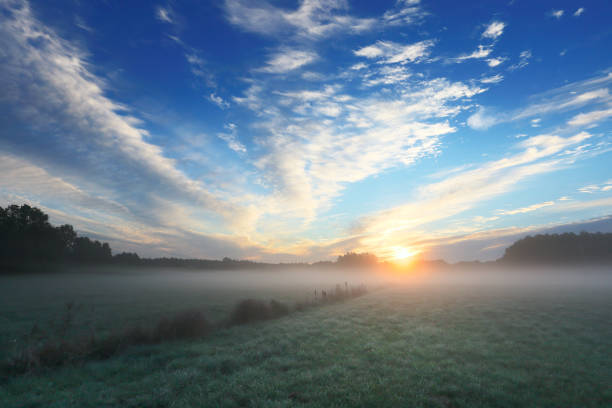 istock Clean transparent air over green meadow 662141384