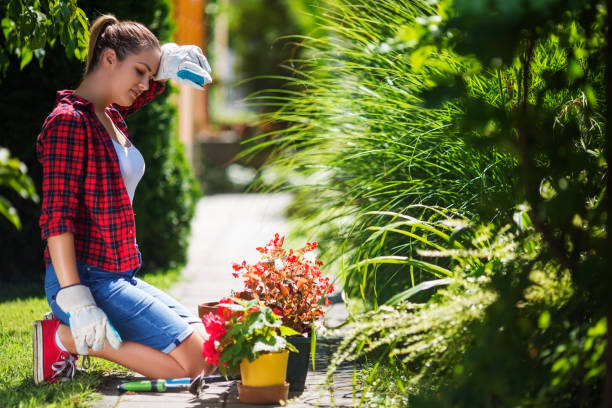 istock Young woman gardening 662147484