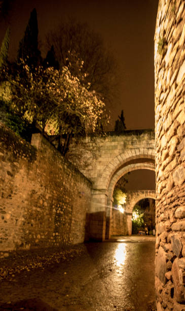 istock ALHAMBRA, PHOTOS TAKEN FROM GRANADA AND INSIDE ALHAMBRA 662147826